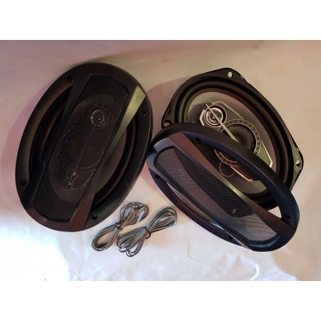 Автомобильная акустика, колонки PROAUDIO PR-6995 овал оптом